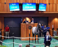 Hip309FTNY8-25FTK1231