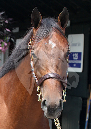 Hip164FTS69
