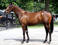 Hip39FTS8-14FTK06