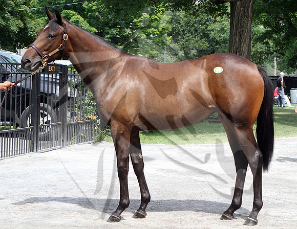 Hip39FTS8-14FTK06