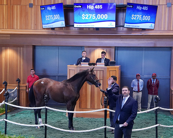 Hip485FTNY8-24FTK9030