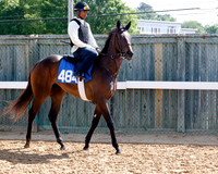 Hip484FTMD5-24FTK6709