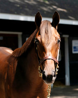 Hip331FTNY8=25FTK