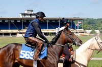 Hip569FTMD5-24FTK6671