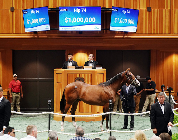 2Hip74FTS8-22Z1128
