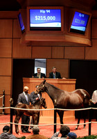 Hip94FTK2-10FT42