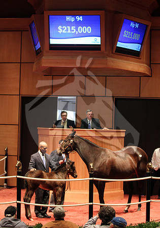Hip94FTK2-10FT42