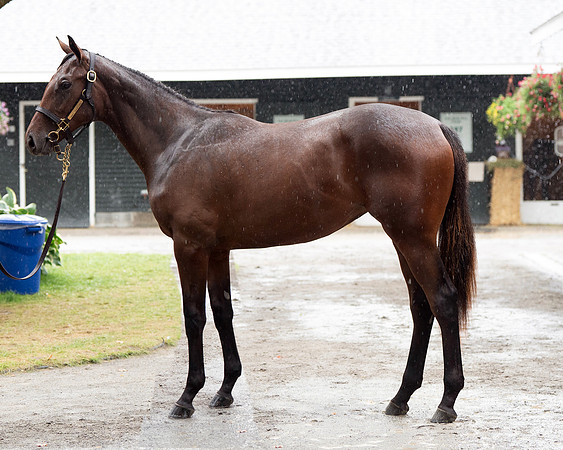 Hip486FTNY8-24FTK123
