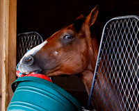 Hip389ThisismytoyFTMD5-13-24FTK068