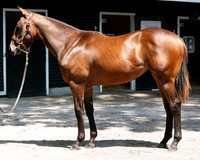 Hip331FTNY8-25FTK