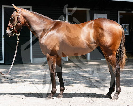 Hip331FTNY8-25FTK