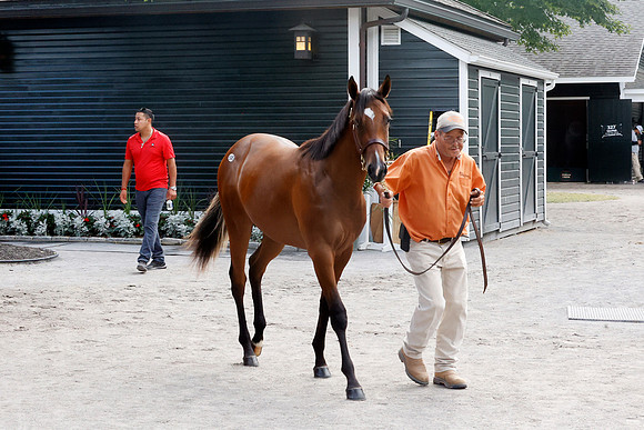 Hip595FTNY8-24FTK806