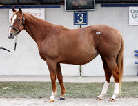 Hip93FTK2-10Z68