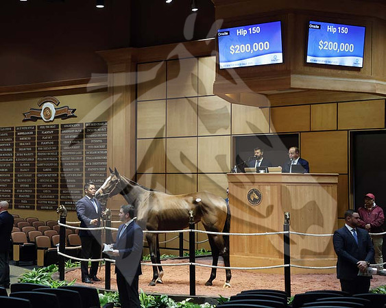 Hip150SycamoreShoals2-25FTK4361