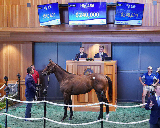 Hip456FTNY8-24FTK775