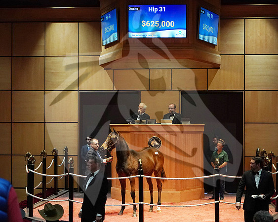 Hip31FTK11-22FTK2