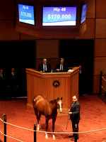 Hip48FTK10-14FTK04