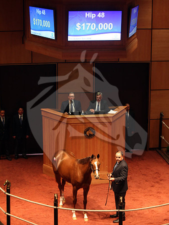 Hip48FTK10-14FTK04