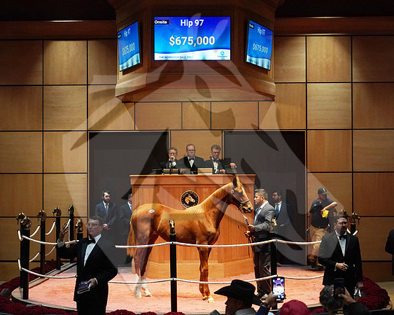Hip97FTK11-22FTK