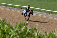 Hip455FTMD5-24FTK7294